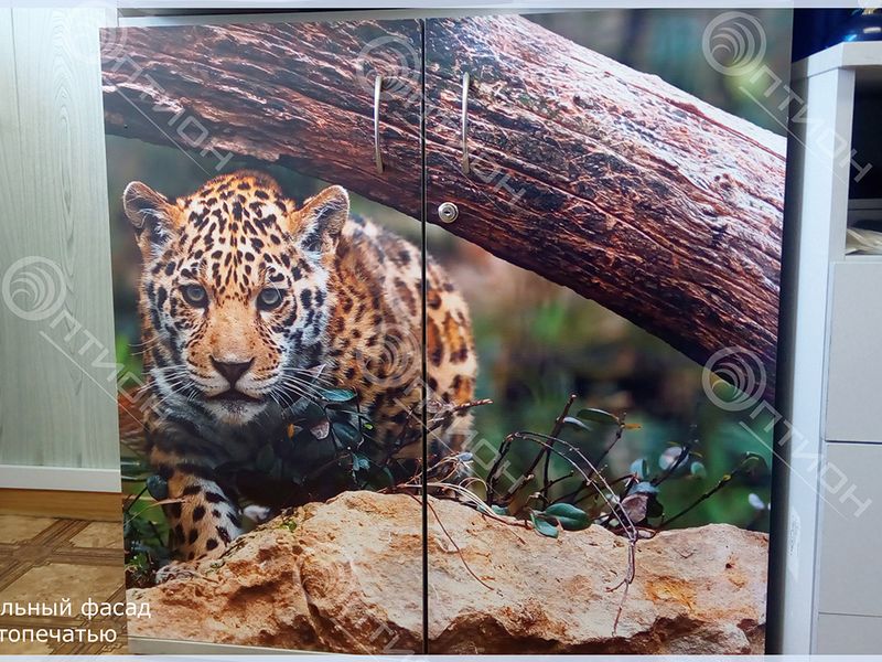 Стеклянная панель с УФ-фотопечатью в интерьере